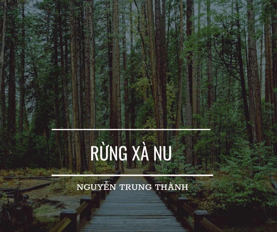 Đôi nét về truyện ngắn Rừng xà nu - Nguyễn Thành Trung - luyenthidgnl.com.vn