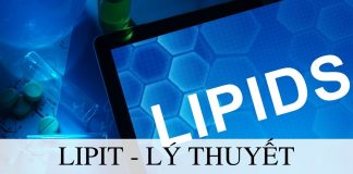 Lipit - Lý thuyết, đặc điểm và các tính chất